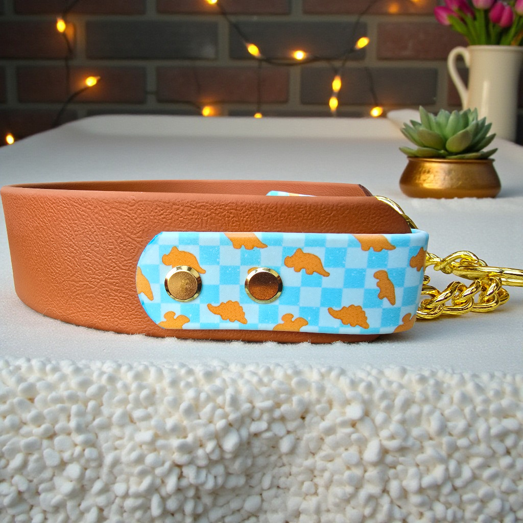 Dino Nugs Biothane Martingale Dog Collar – Waterproof No Slip Training Collar