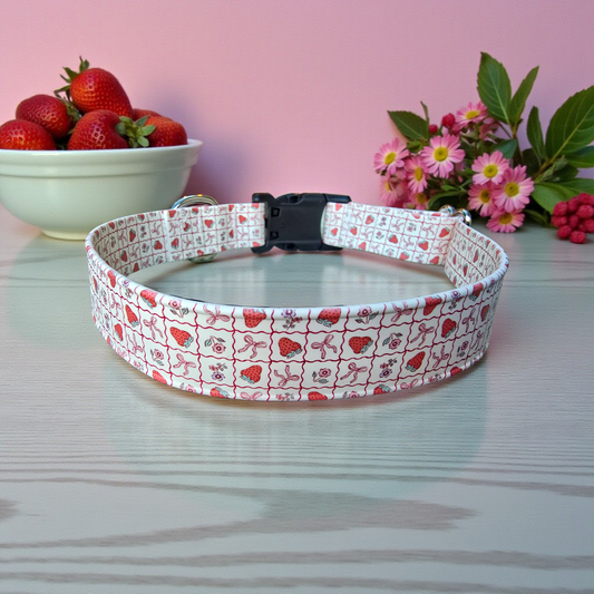 Strawberries And Bows Single Layer Biothane Dog Collar – Waterproof Adjustable Quick Release Collar