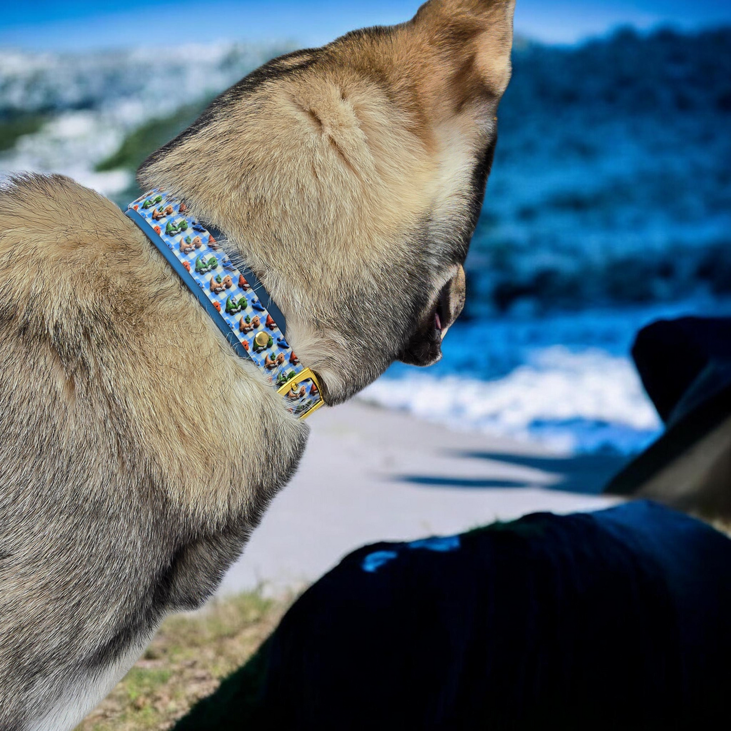 3D Dragon Double Layer Biothane Dog Collar – Waterproof Adventure Collar | Gold Hardware | Smoke Blue or Olive Green Accent