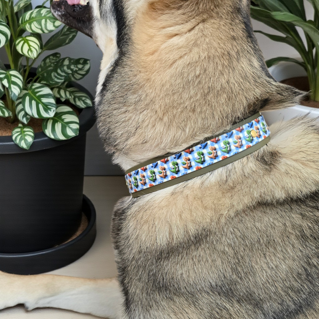 3D Dragon Double Layer Biothane Dog Collar – Waterproof Adventure Collar | Gold Hardware | Smoke Blue or Olive Green Accent