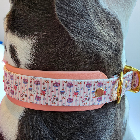 Bookish Goose Biothane Dog Collar – Waterproof Double Layer Collar Choose your accent color