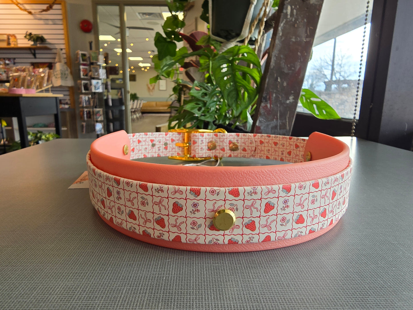 Strawberries & Bows Double Layer Biothane Dog Collar – Waterproof Stinkproof