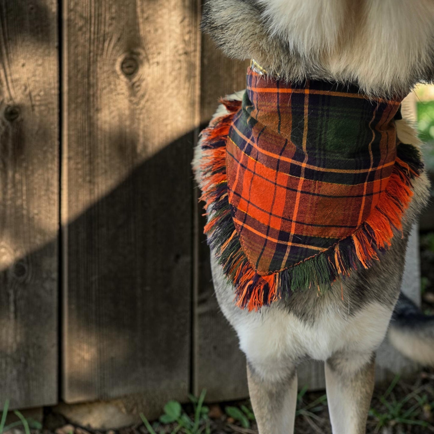 Hand-Fringed Fall Scrunchie Dog Bandanas