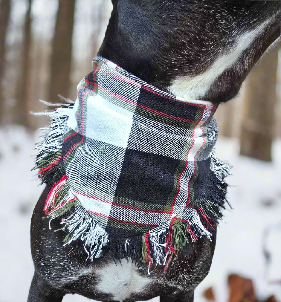 
Dog wearing a hand-fringed Christmas plaid ruffle bandana with festive winter trees in the background.
