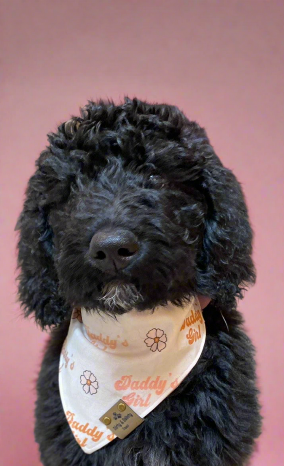 Daddy's Girl/Pink Plaid Reversible Scrunchie Dog Bandana