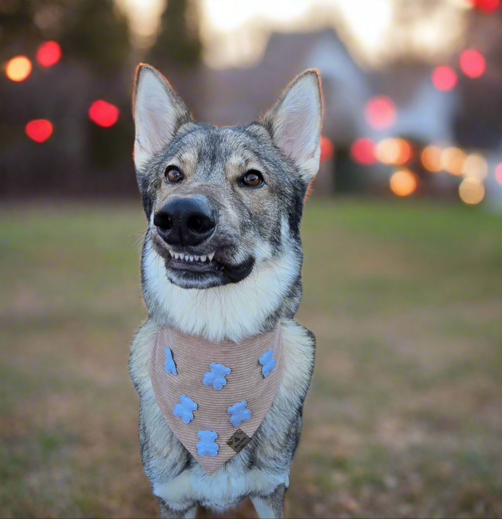 Mini Teddy Bear Polka Dot Corduroy Bandana for Dogs | Soft, Stylish, and Comfortable Pet Accessory