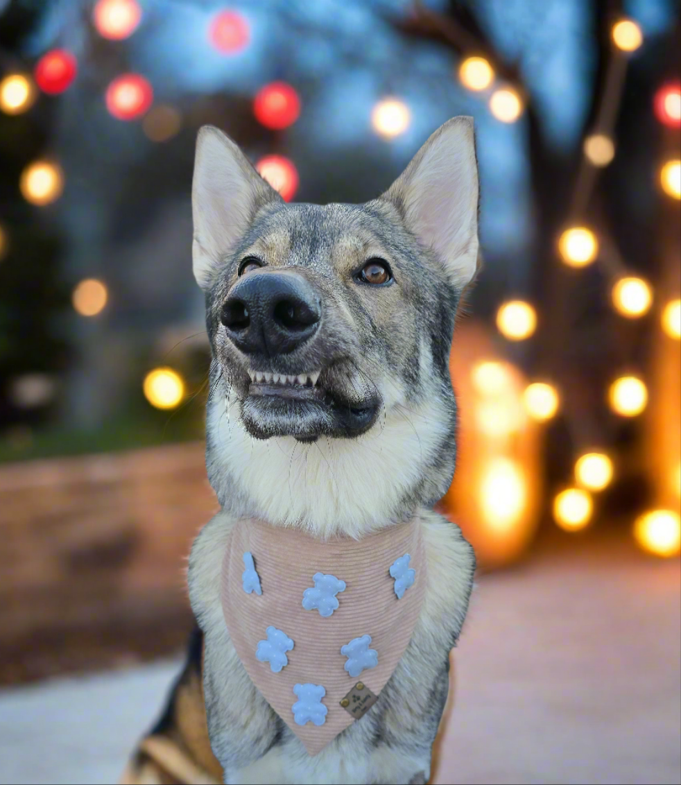 Mini Teddy Bear Polka Dot Corduroy Bandana for Dogs | Soft, Stylish, and Comfortable Pet Accessory