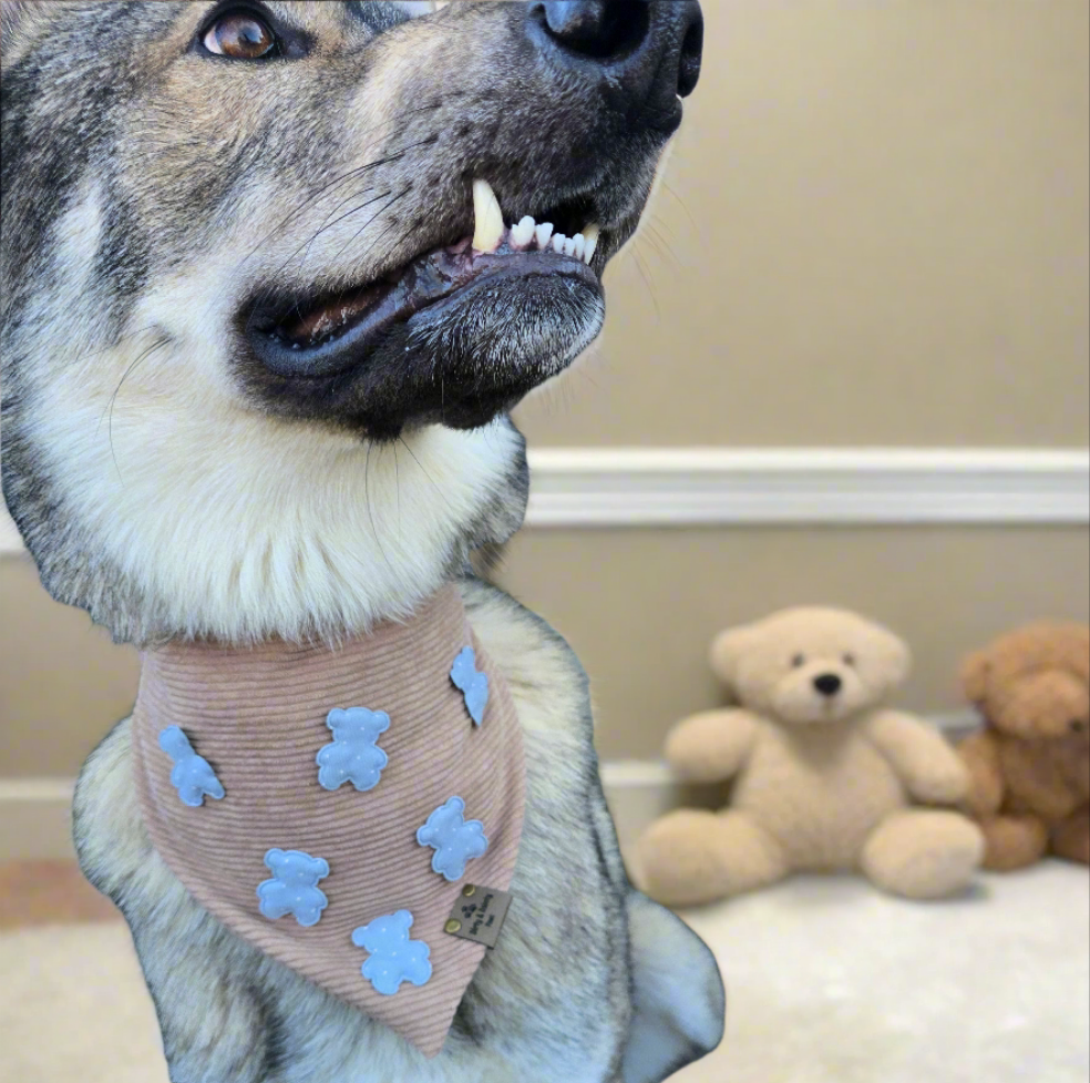 Mini Teddy Bear Polka Dot Corduroy Bandana for Dogs | Soft, Stylish, and Comfortable Pet Accessory