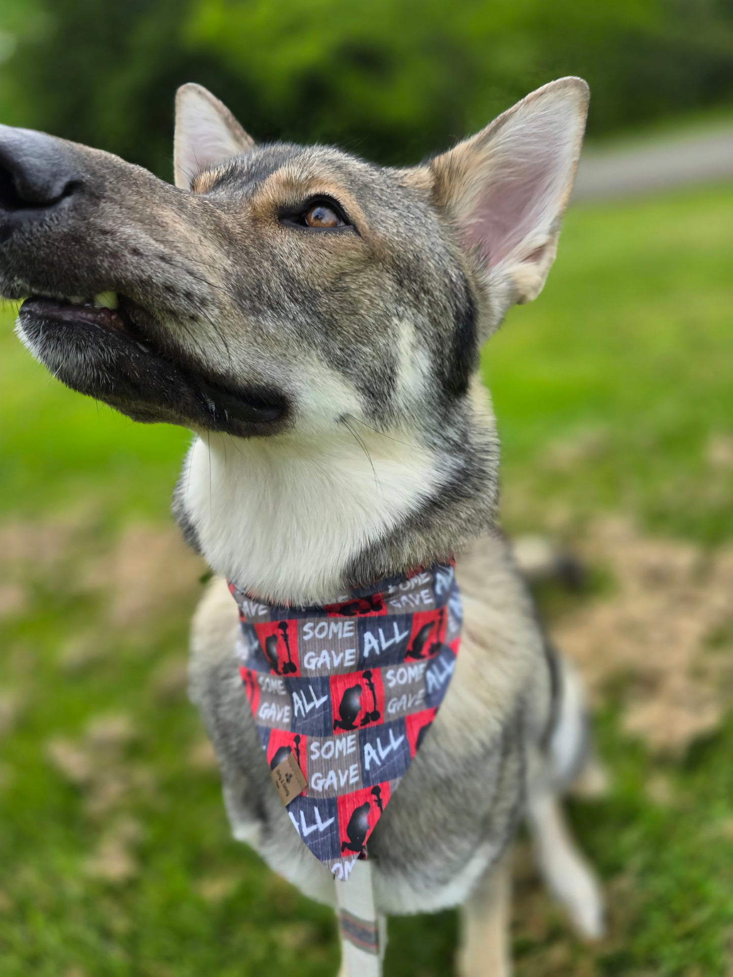 FUNDRAISER For Warrior Dog Foundation! Some Gave All/Soldiers Reversible Bandana