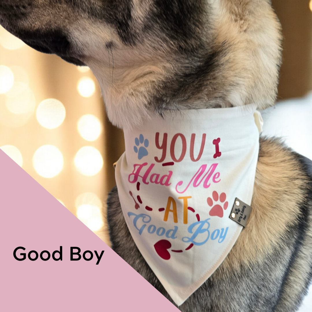 Funny Valentine dog bandana with You Had Me At Good Boy saying