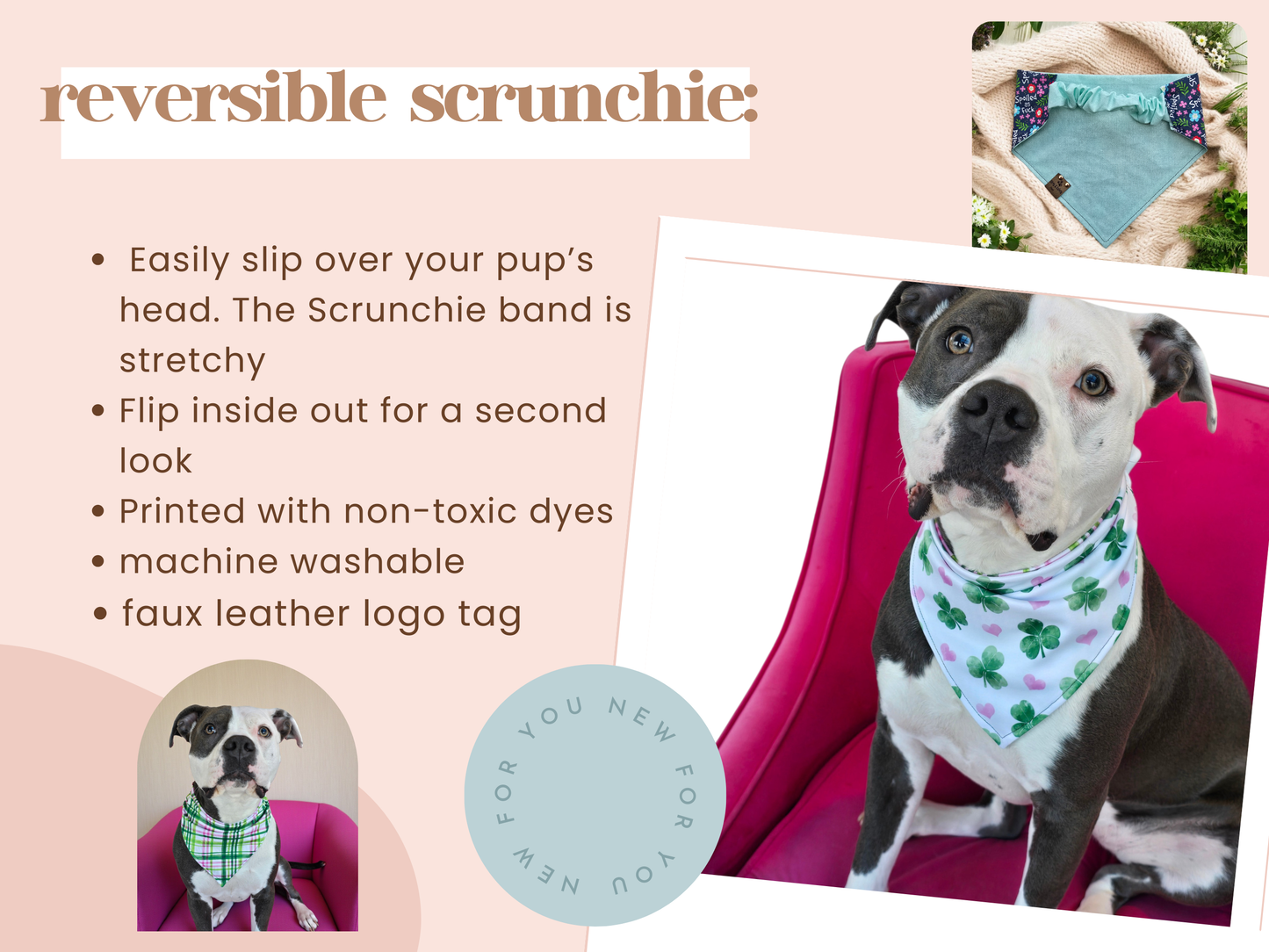 Funny Floral Dog Bandana – I'm Cute But I Will F*ck Sh*t Up | Reversible Cozy Cotton Scrunchie