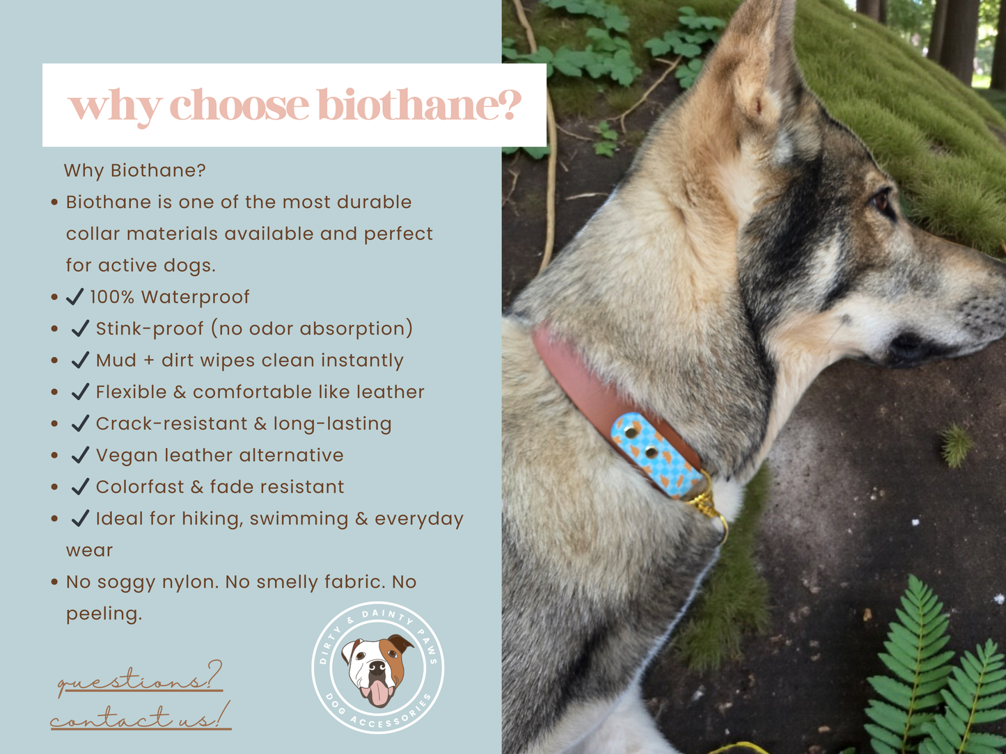 3D Dragon Double Layer Biothane Dog Collar – Waterproof Adventure Collar | Gold Hardware | Smoke Blue or Olive Green Accent