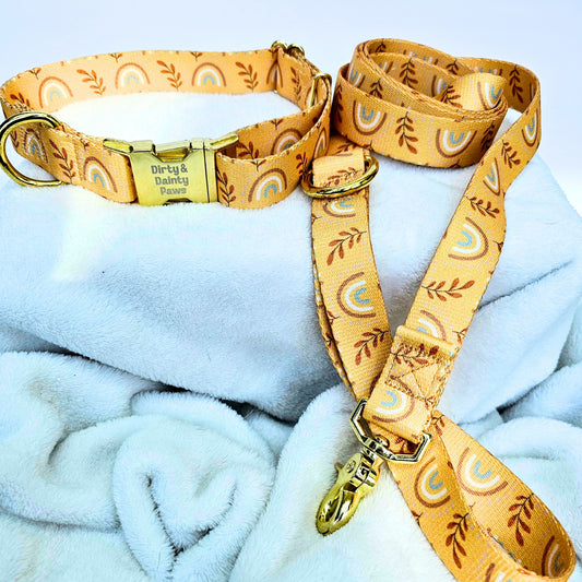 Boho Rainbow Fall Dog Leash 6 ft Durable