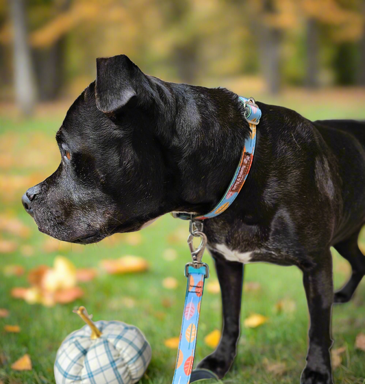 Eco Friendly Blue Plaid or Fall Leaves Dog Collar and Leash Bundle