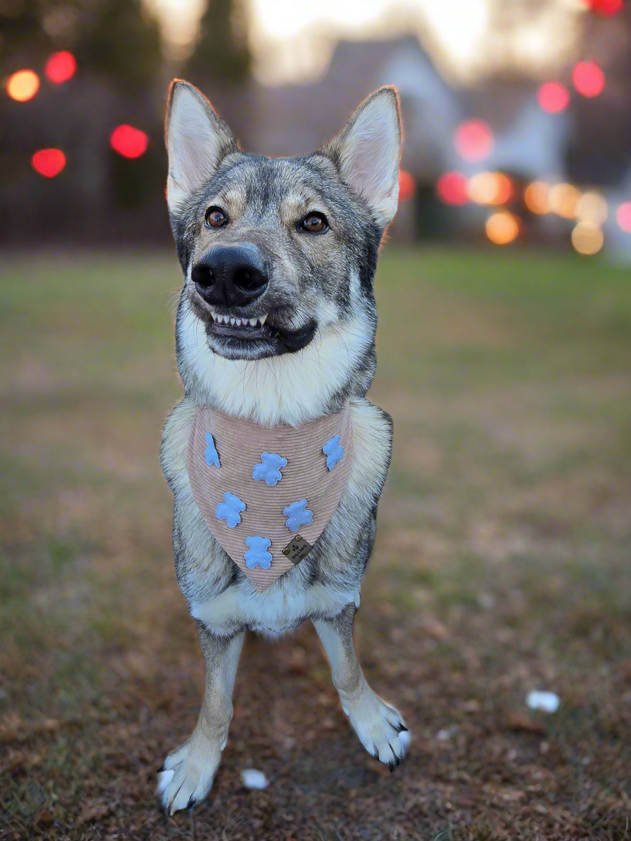 Mini Teddy Bear Polka Dot Corduroy Bandana for Dogs | Soft, Stylish, and Comfortable Pet Accessory