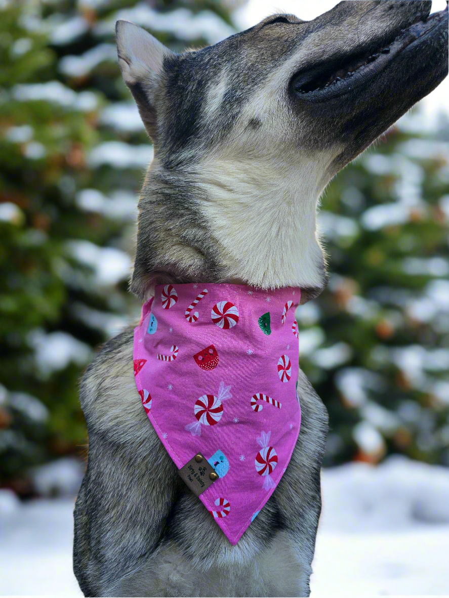 Christmas Coffee & Candy Canes | Candies Reversible Scrunchie Dog Bandana