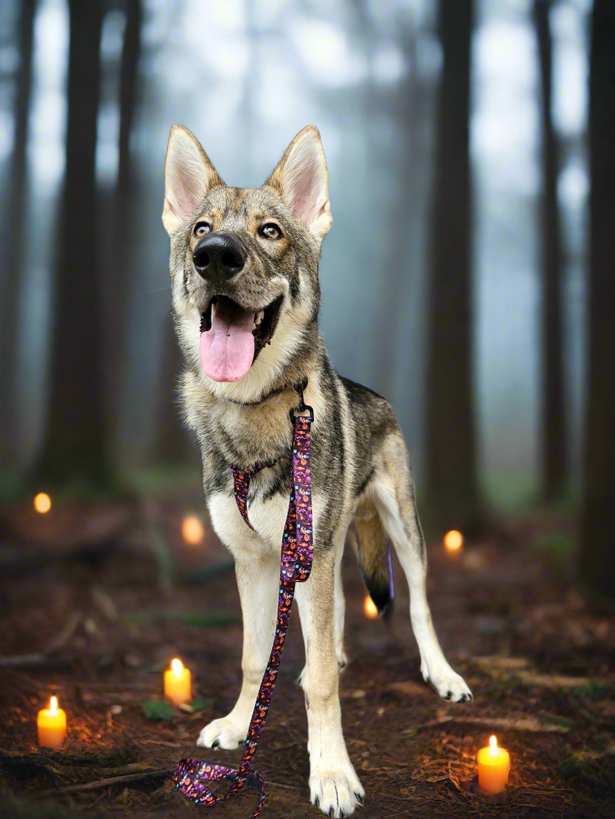 Jack-O-Lantern Bundle| FREE Surprise Easy Tie Bandana