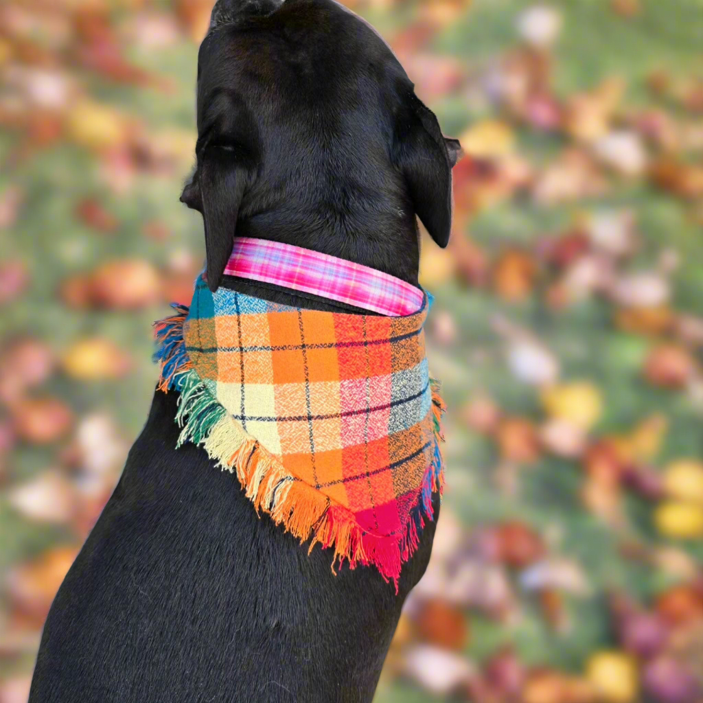 Colorful plaid dog bandana made from high-quality flannel, featuring hand-fringed edges, a secure snap closure, and a faux leather logo tag. Perfect for fall, the bandana showcases a vibrant mix of autumnal colors.