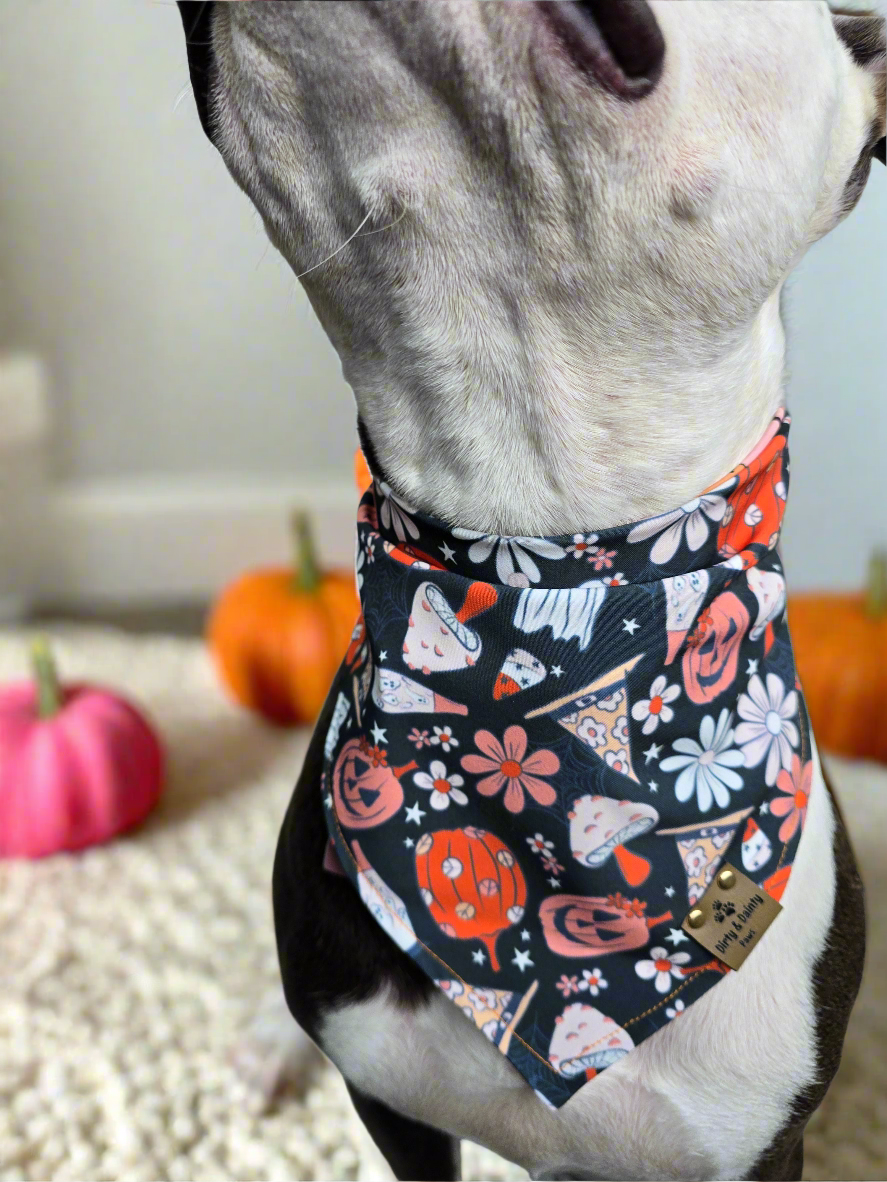 Retro Halloween and PSLs