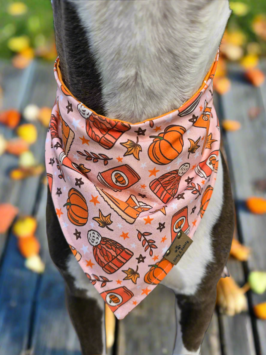 Cozy Fall| Stripes| Polka Dots Cozy Cotton Reversible Scrunchie Dog Bandana