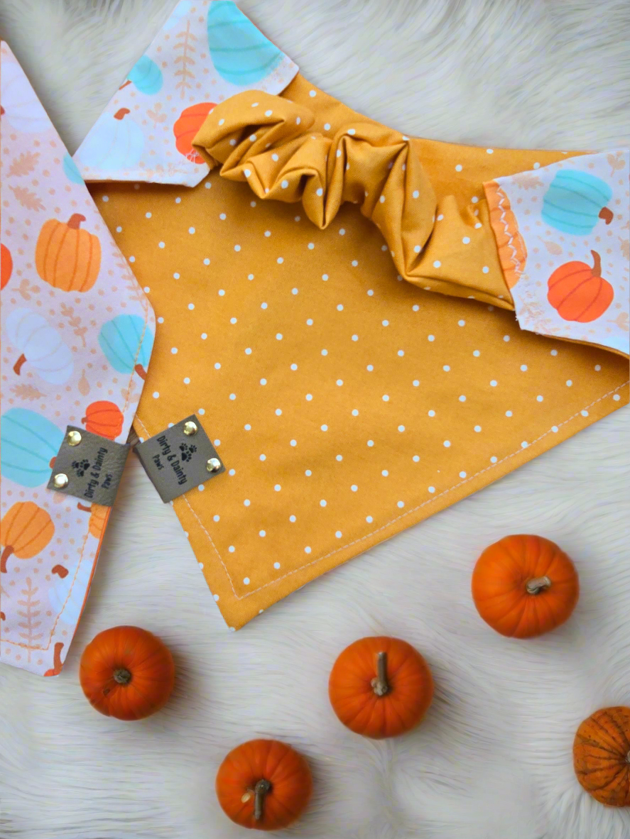 Boho Pumpkins| Hello Pumpkin| Dots| Cozy Cotton Reversible Scrunchie Dog Bandana