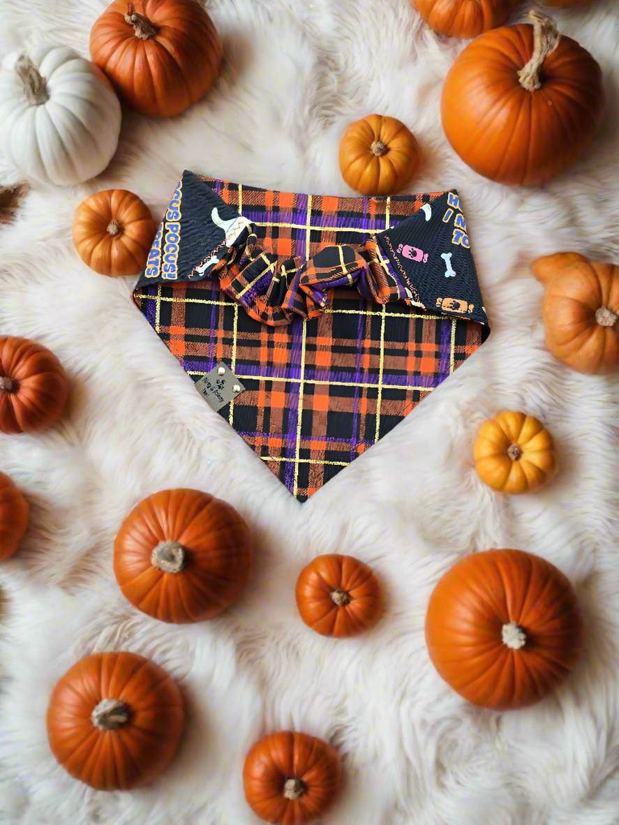Hocus Pocus I Need Treats To Focus| Halloween Plaid Cozy Cotton Reversible Scrunchie Dog Bandana
