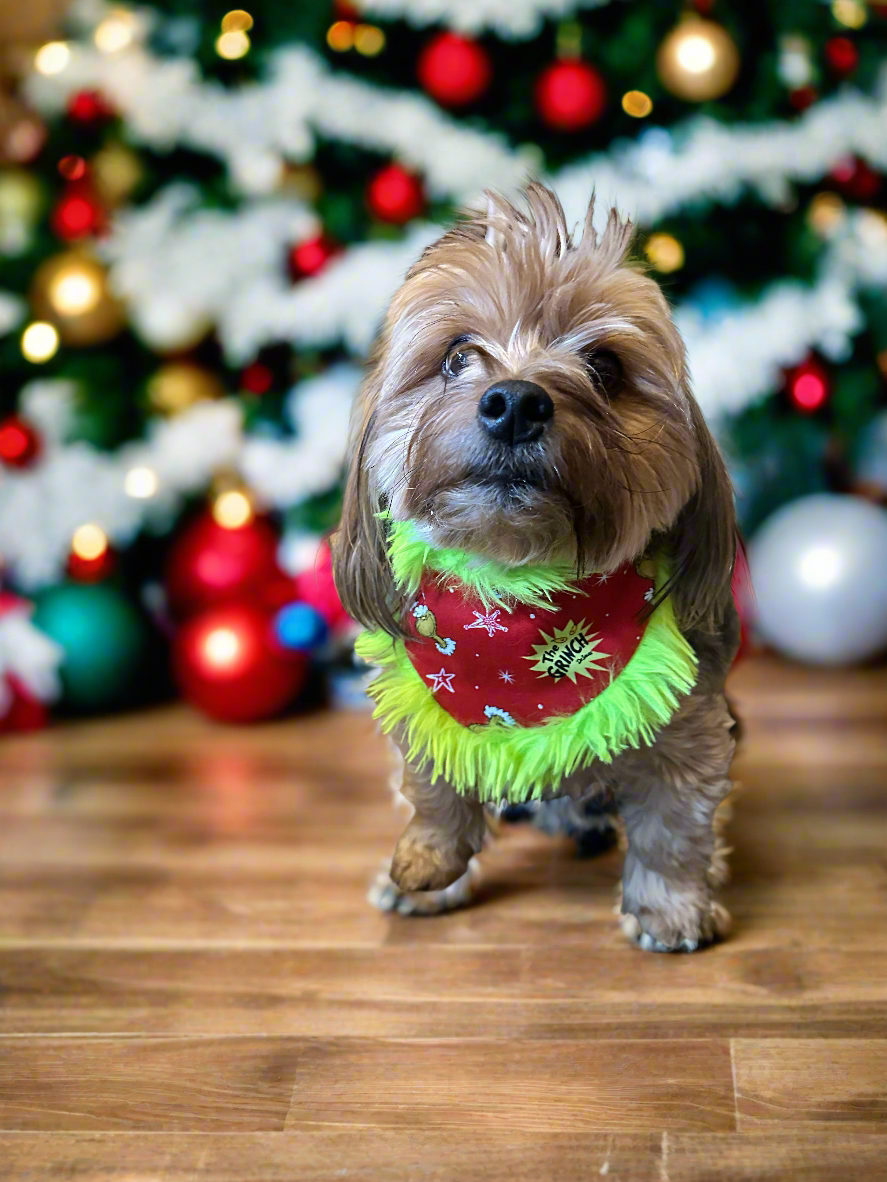 Grinchy Christmas Reversible Scrunchie Dog Bandana with Grinch Trim