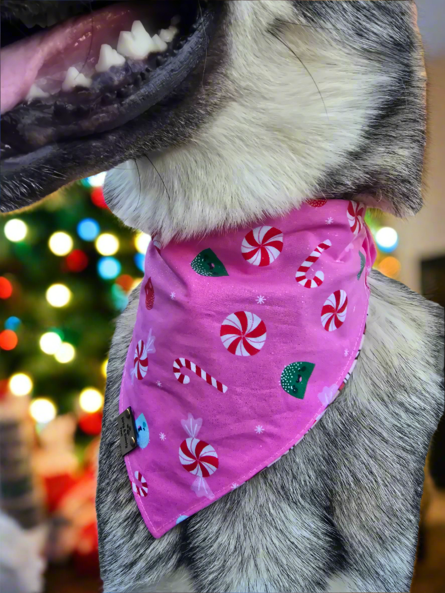 Christmas Coffee & Candy Canes | Candies Reversible Scrunchie Dog Bandana