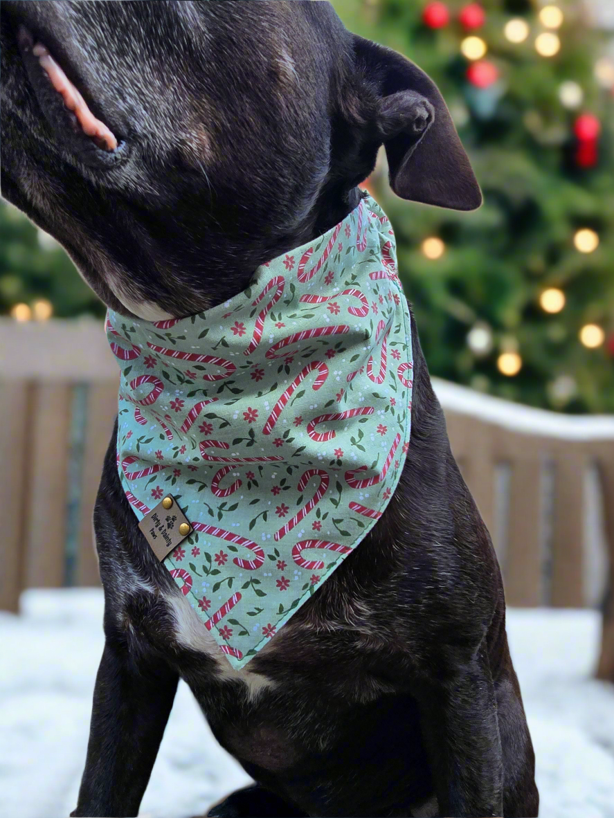 Reversible dog bandana with "Official Cookie Taster" print featuring holiday cookies, candy canes, and Christmas flowers.