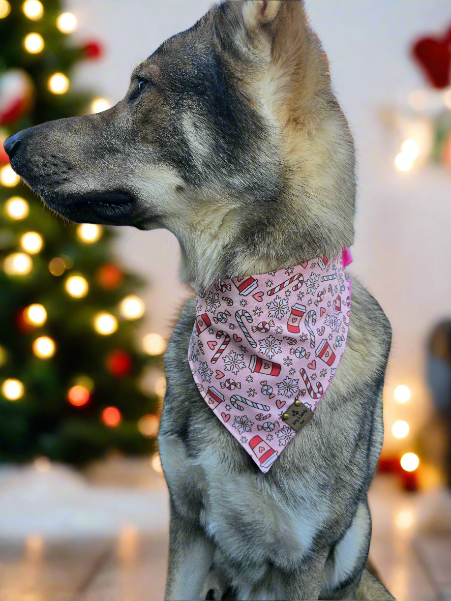 Christmas Coffee & Candy Canes | Candies Reversible Scrunchie Dog Bandana