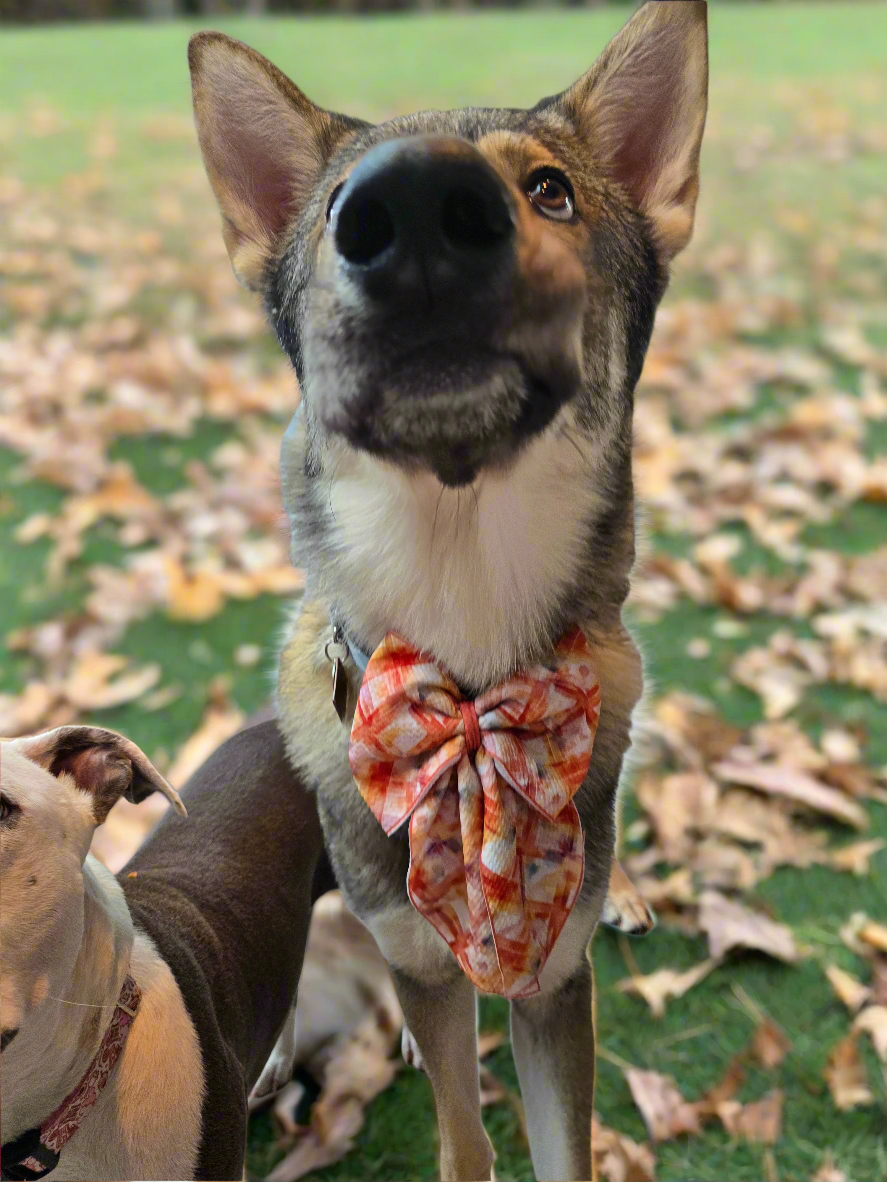 Fall Liverpool Sailor Bows