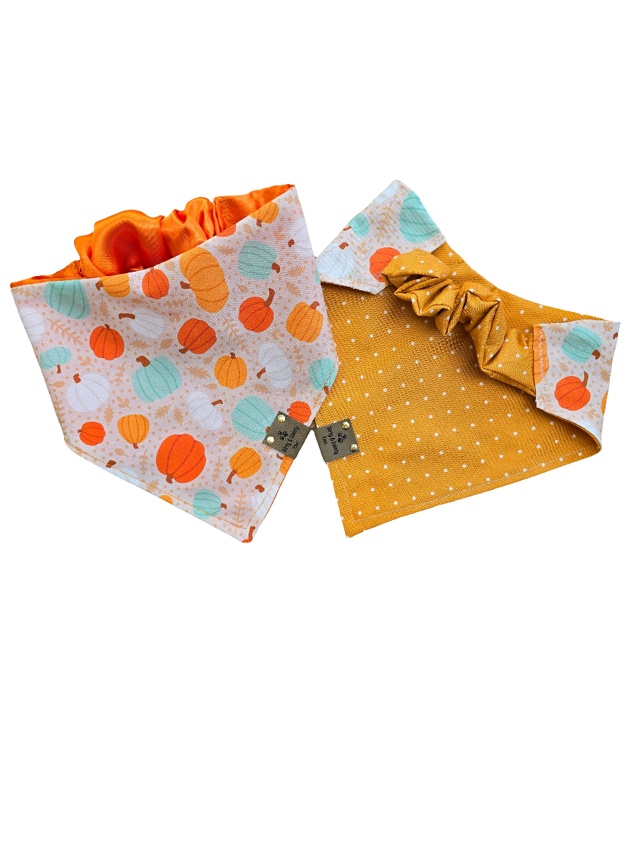 Boho Pumpkins| Hello Pumpkin| Dots| Cozy Cotton Reversible Scrunchie Dog Bandana