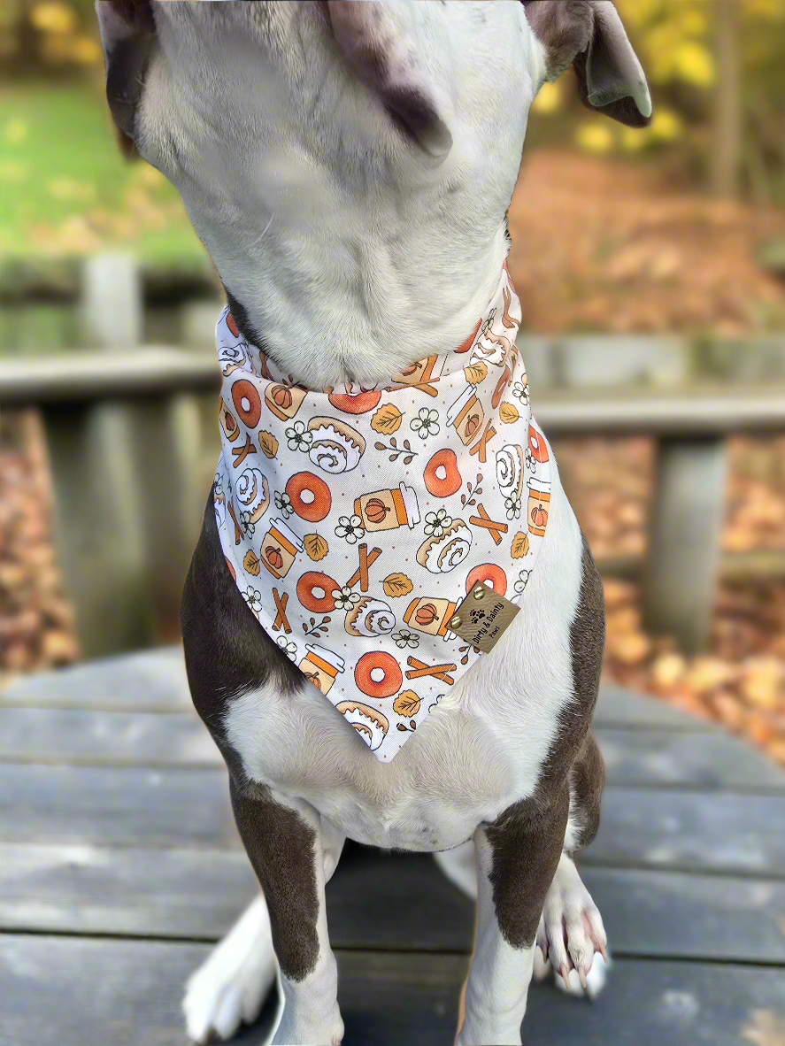 Cinnabon and Pumpkin Fun