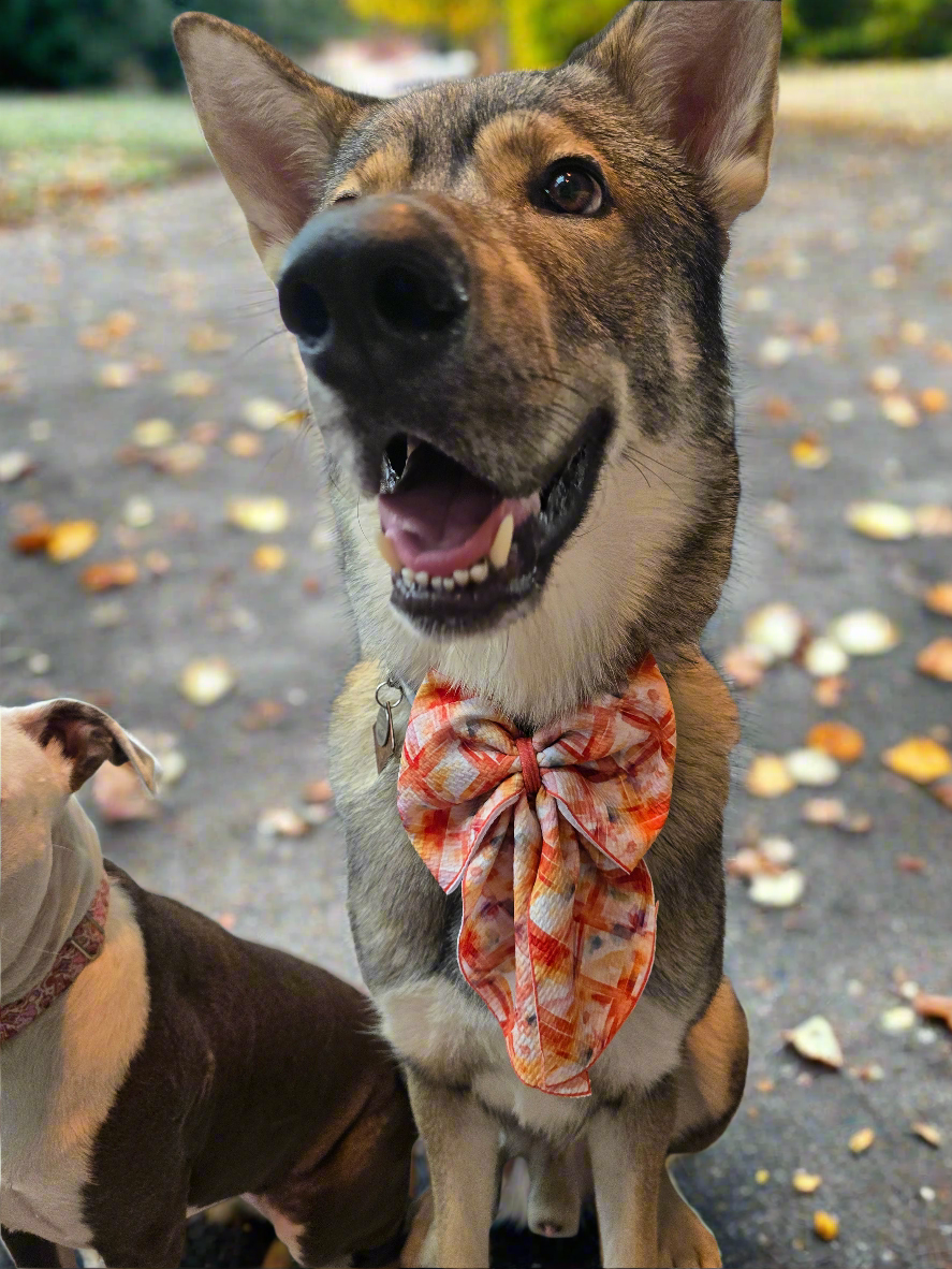 Fall Liverpool Sailor Bows