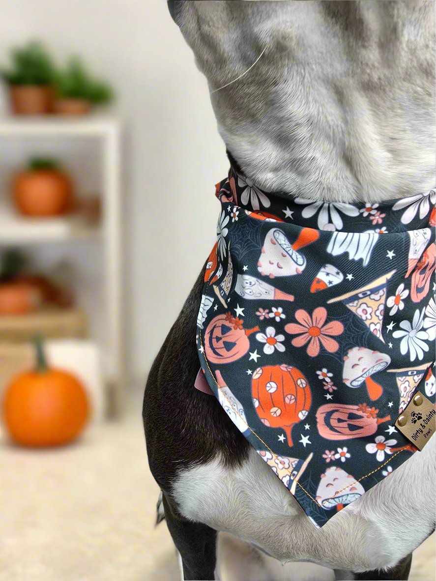 Retro Halloween and PSLs