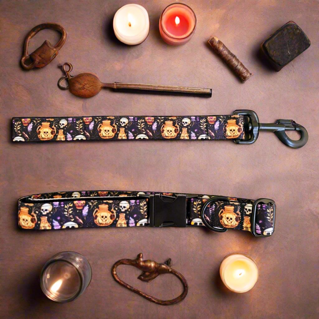 Skulls And Potions Bundle. Collar and Leash with a FREE Easy Tie Bandana