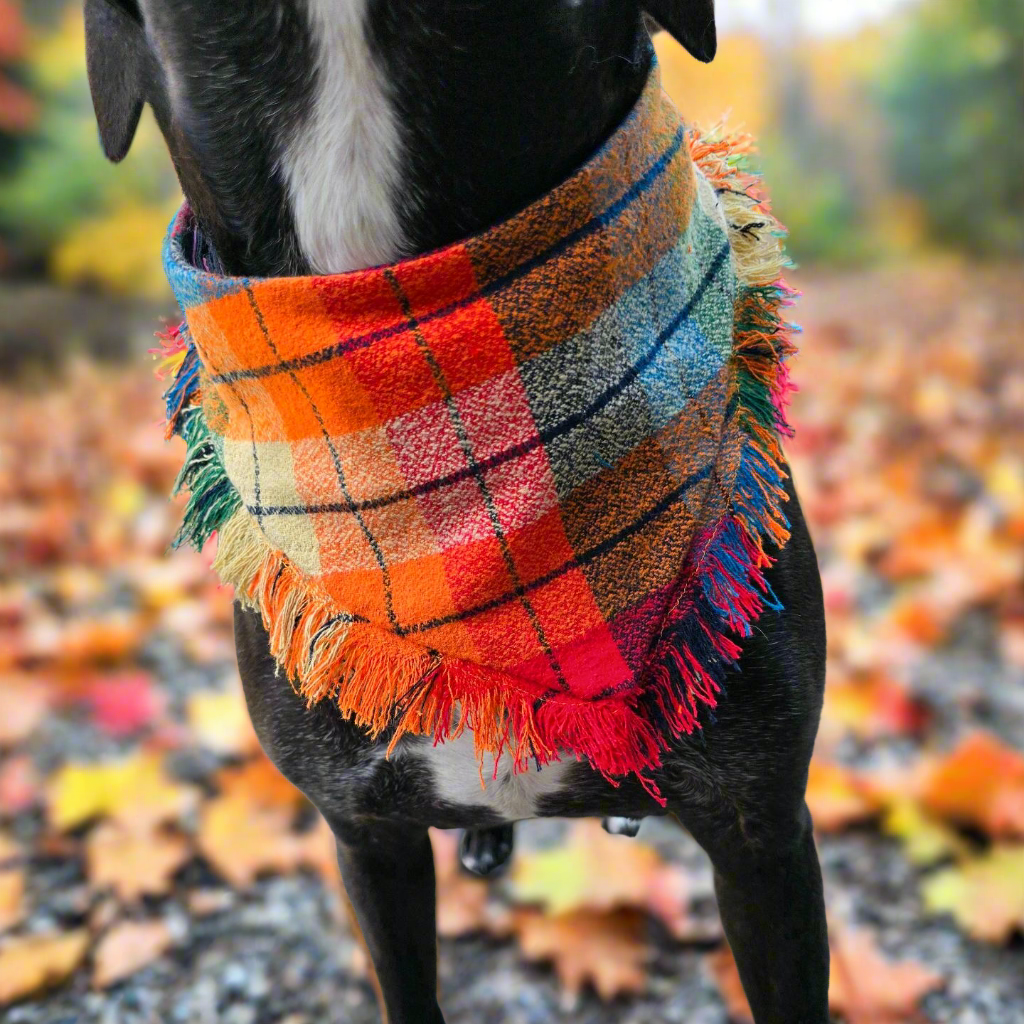 Colorful plaid dog bandana made from high-quality flannel, featuring hand-fringed edges, a secure snap closure, and a faux leather logo tag. Perfect for fall, the bandana showcases a vibrant mix of autumnal colors.