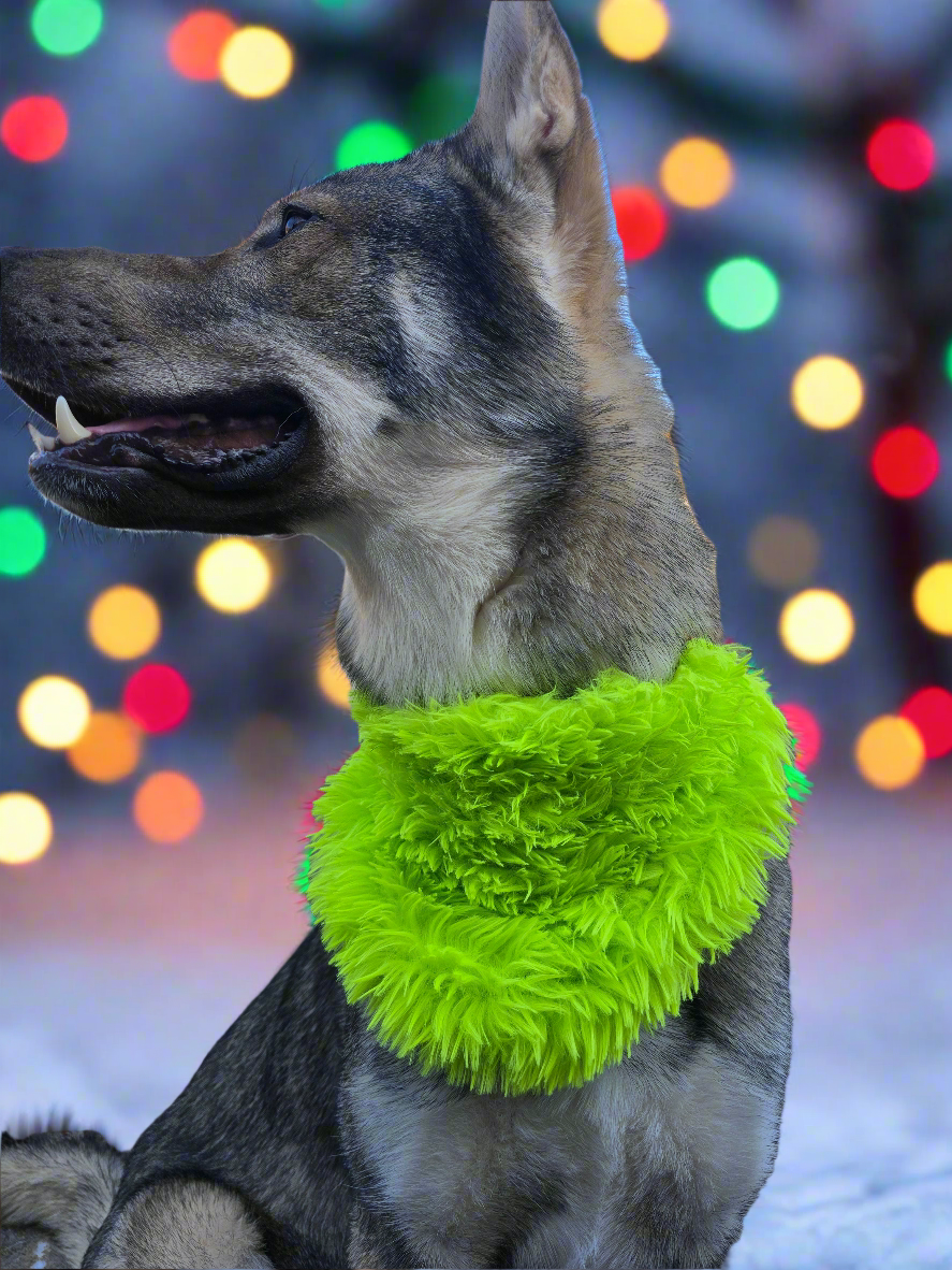 Grinchy Christmas Reversible Scrunchie Dog Bandana with Grinch Trim