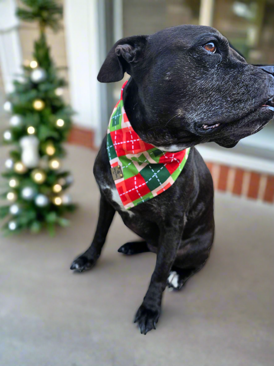 Santa's Helper | Retro Pattern Reversible Scrunchie Dog Bandana