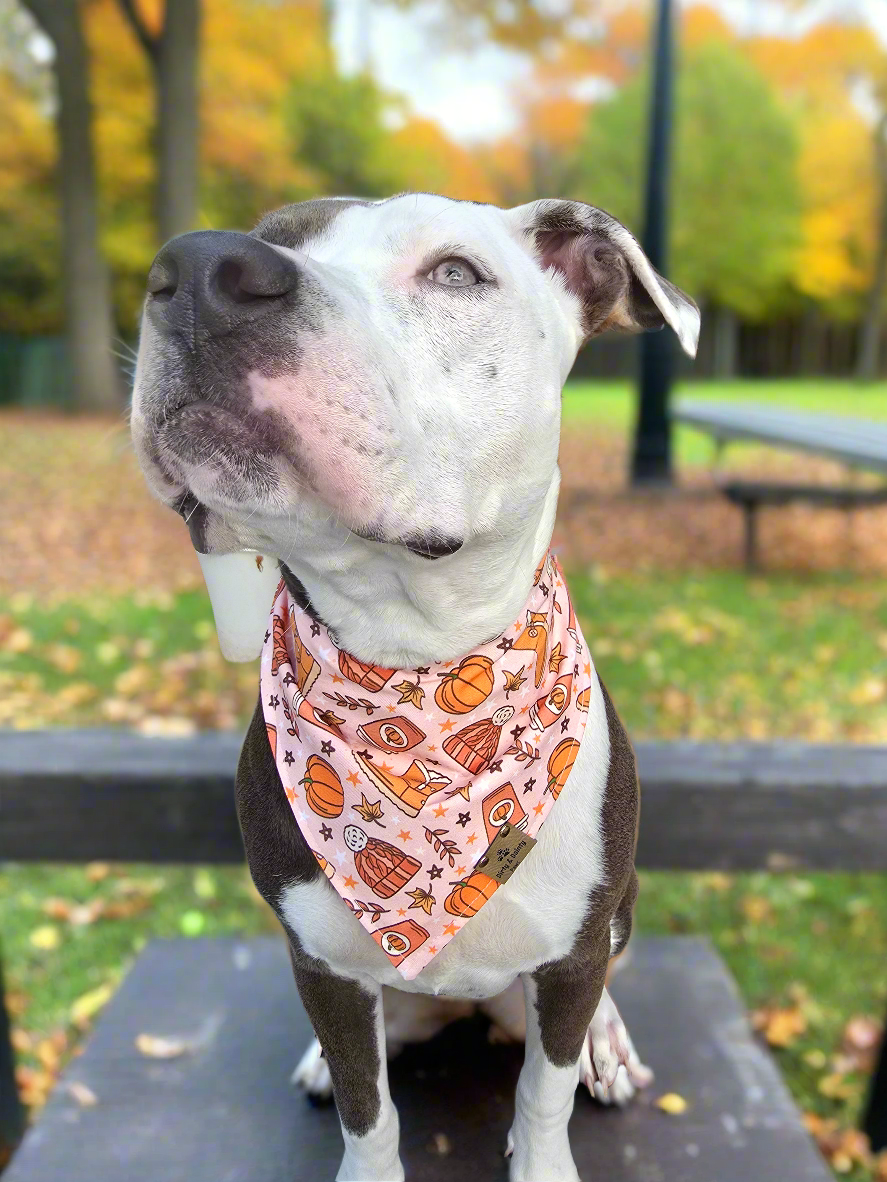 Cozy Fall| Stripes| Polka Dots Cozy Cotton Reversible Scrunchie Dog Bandana