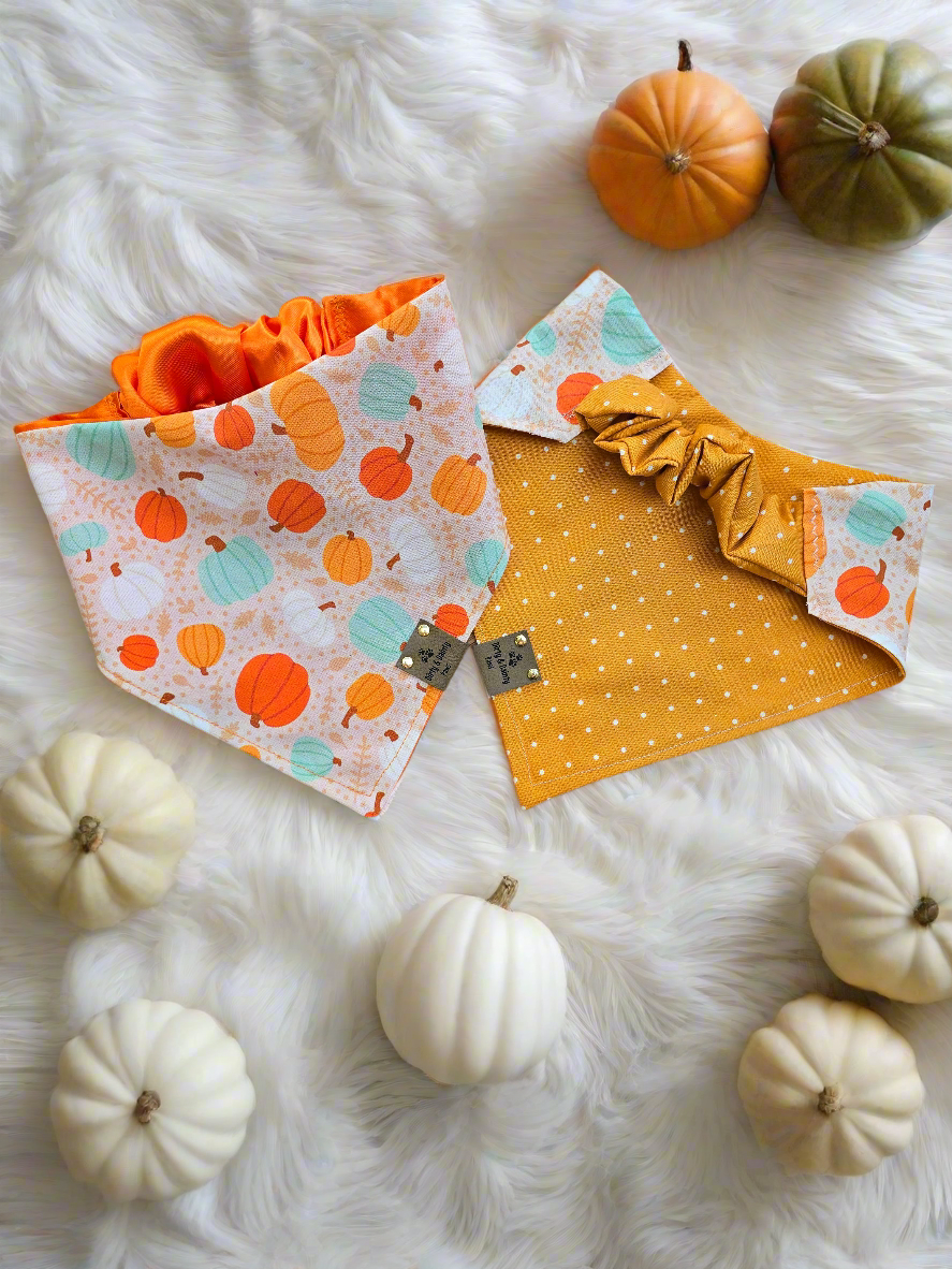 Boho Pumpkins| Hello Pumpkin| Dots| Cozy Cotton Reversible Scrunchie Dog Bandana