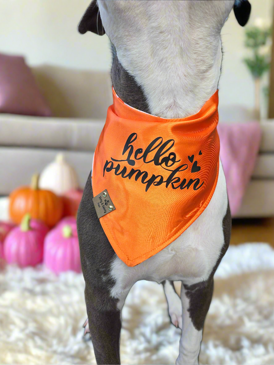Boho Pumpkins| Hello Pumpkin| Dots| Cozy Cotton Reversible Scrunchie Dog Bandana