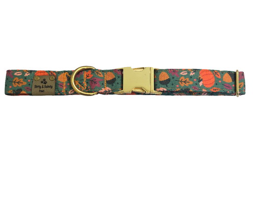 Fall Harvest Dog Collar | Autumn-Themed Pet Accessories by Dirty & Dainty Paws