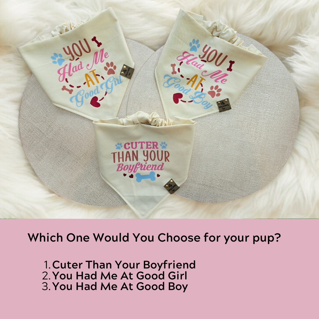 Cotton scrunchie dog bandana with You Had Me At Good Girl phrase

Funny Valentine dog bandana with You Had Me At Good Boy saying

Cuter Than Your Boyfriend cotton scrunchie dog bandana