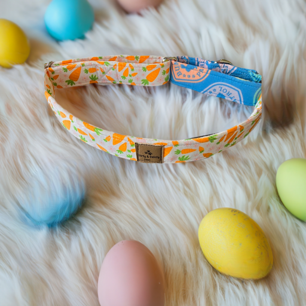 Easter Collar & Martingale Pre-order