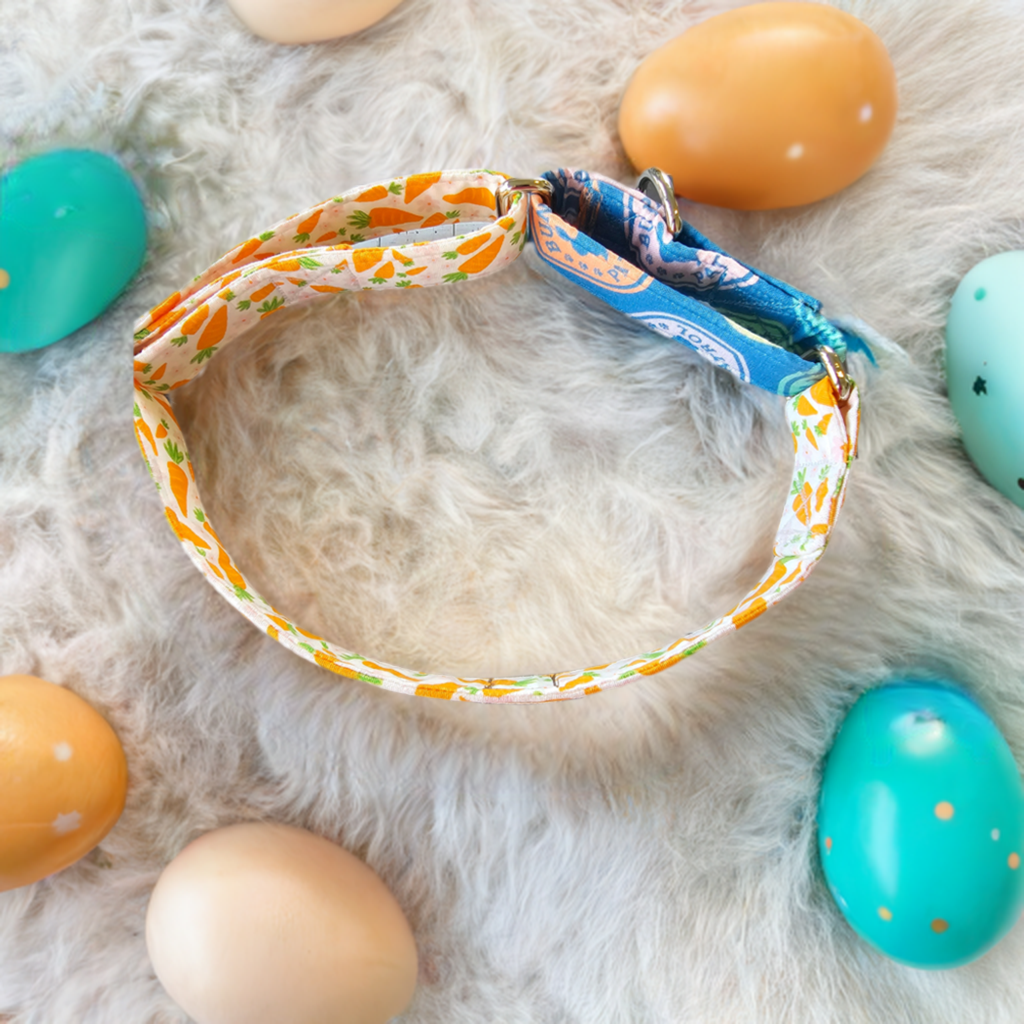 Easter Collar & Martingale Pre-order