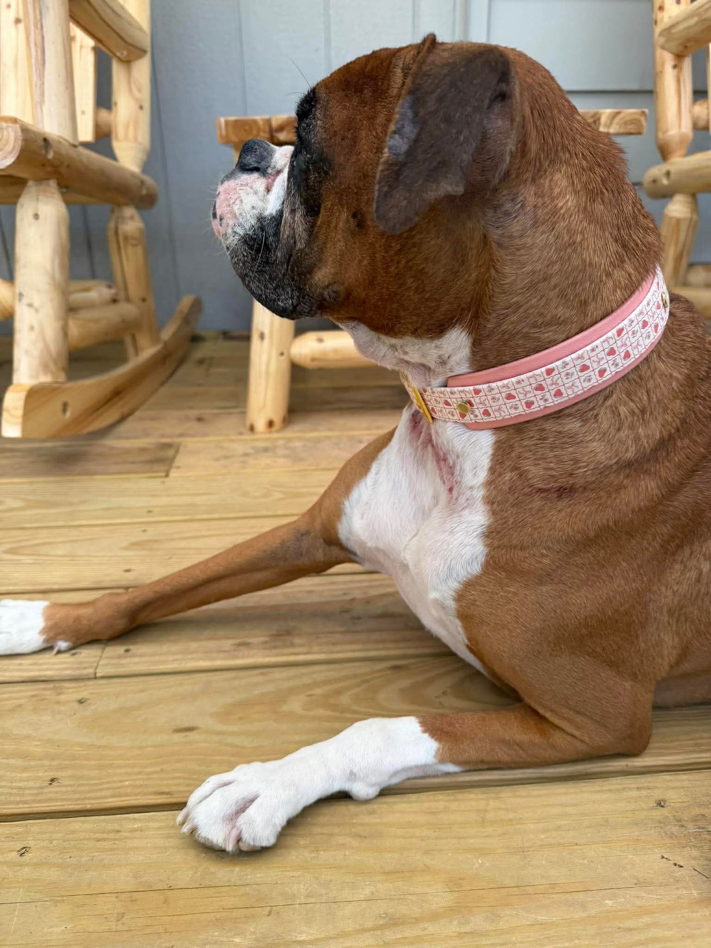 Strawberries & Bows Double Layer Biothane Dog Collar – Waterproof Stinkproof