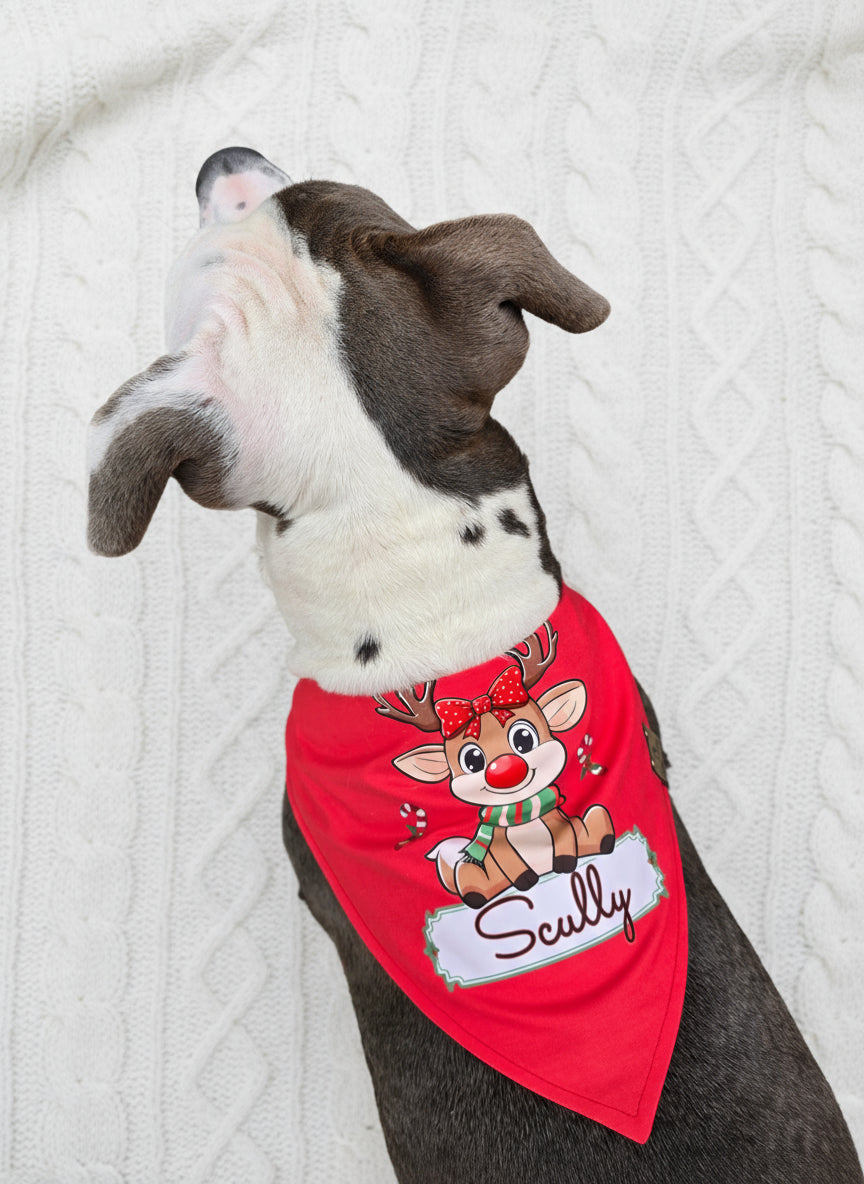 Dog wearing a red bandana with a reindeer design and 'Scally' text on a textured white background