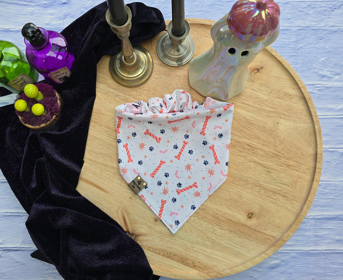 Scary Cute | Spooky Bones Activewear Reversible Scrunchie Dog Bandana