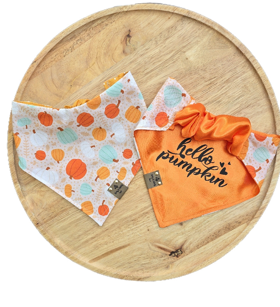 Boho Pumpkins| Hello Pumpkin| Dots| Cozy Cotton Reversible Scrunchie Dog Bandana